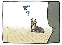いずれ人間大好きにしてやる！ 元野犬を飼い始めた頃の話