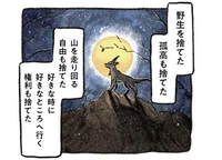野良犬だった愛犬。もっと良い道があったかもしれないけど、自分は最高に幸せ！