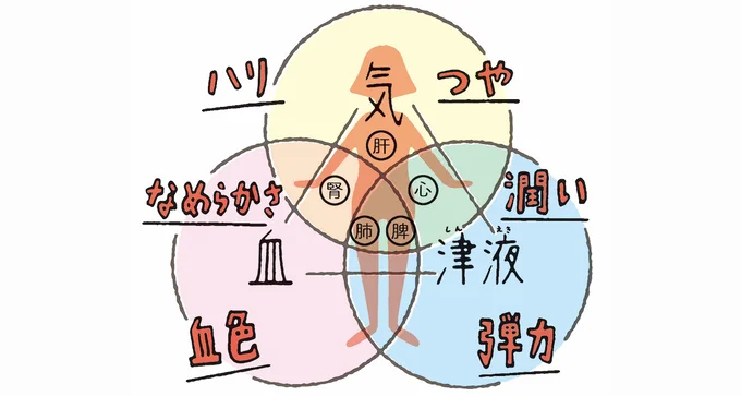 五臓を丈夫にして内面と外面から健康と美しさを作ろう