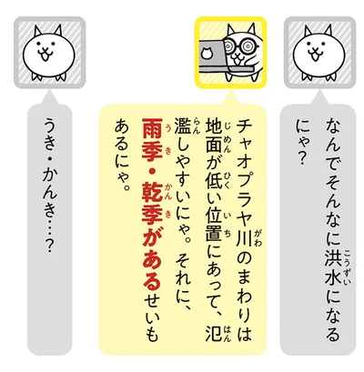 雨季・乾季があるせいもあるにゃ