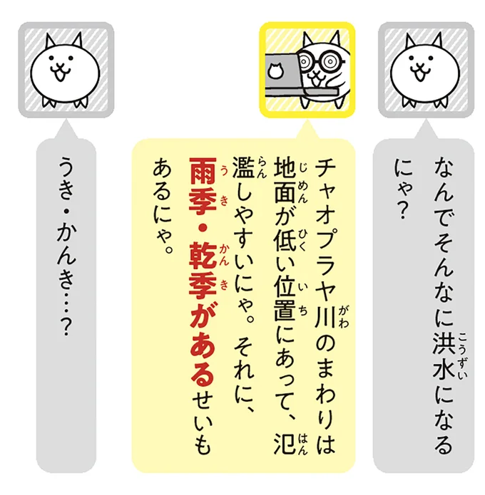 雨季・乾季があるせいもあるにゃ