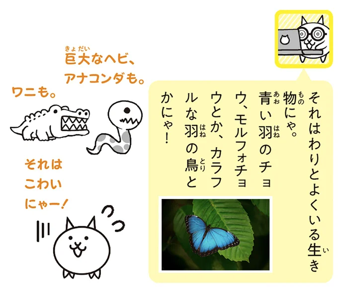 青い羽のチョウ、モルフォチョウ