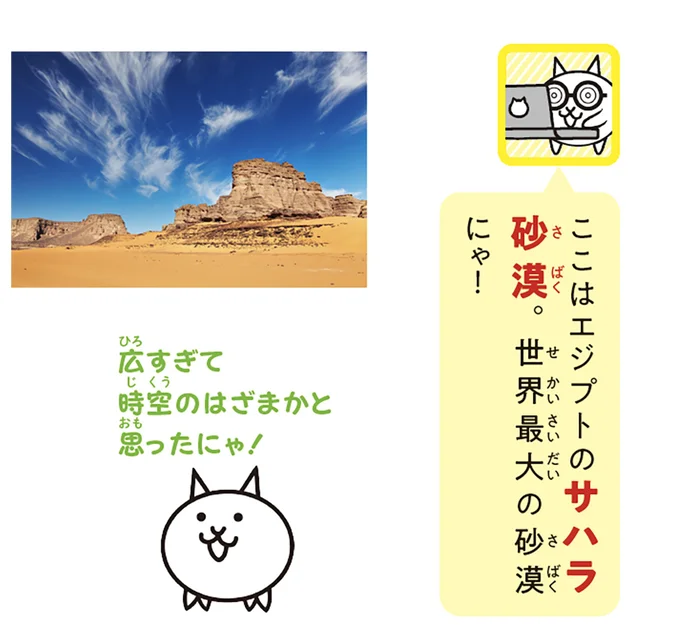 広すぎて時空のはざまかと思ったにゃ！