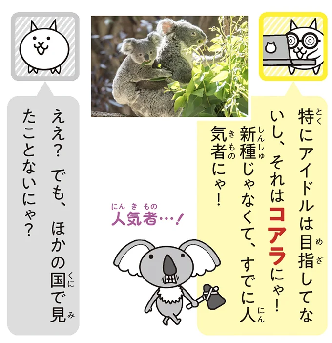 それはコアラにゃ!