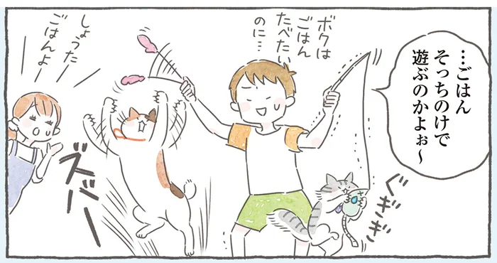 ごはんそっちのけ!? 猫は食べることより狩りが好き！