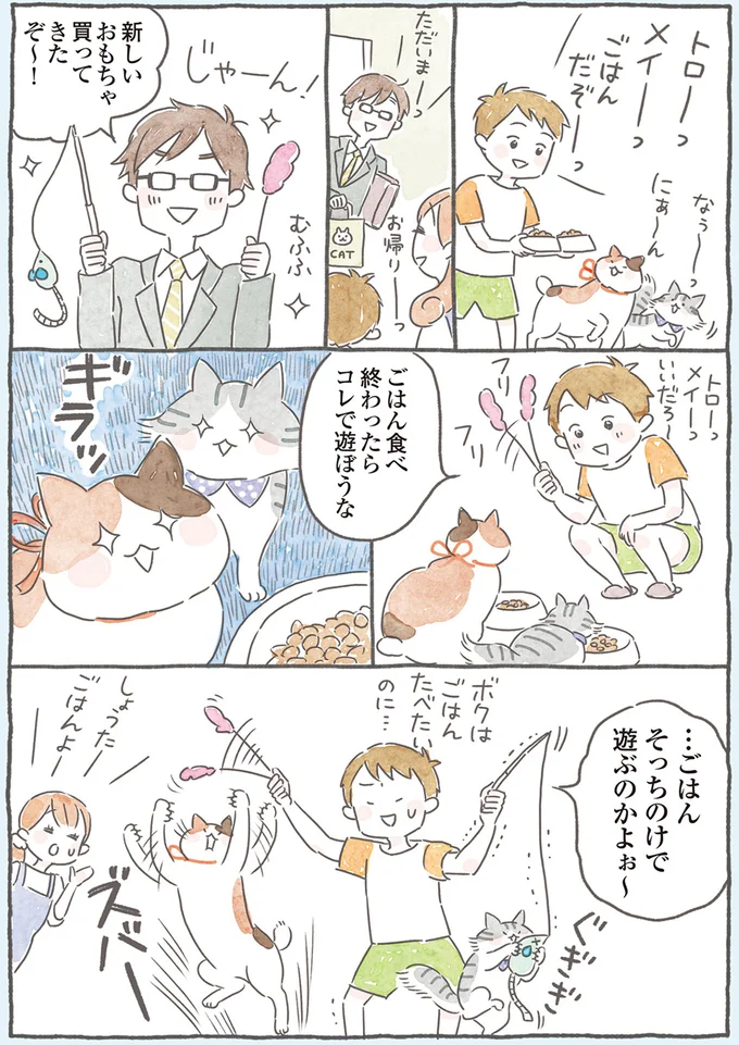 ごはん食べ終わったらコレで遊ぼうな
