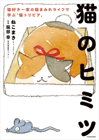 ほんわかストーリーとほのぼのマンガで、猫のすべてが丸わかり『猫のヒミツ 猫好き一家の猫まみれライフで学ぶ“猫トリビア”』