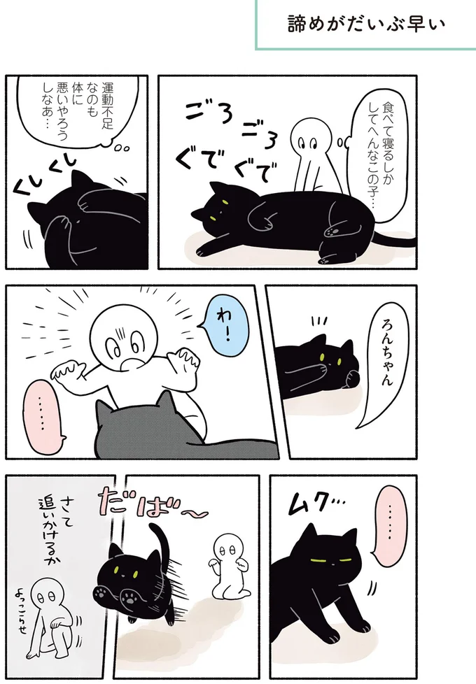 さて追いかけるか