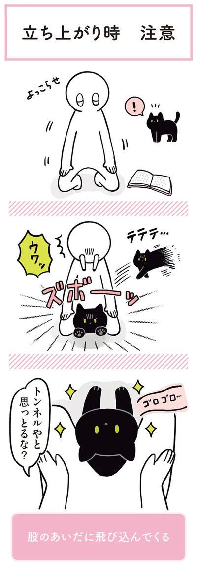 トンネルやと思っとるな？