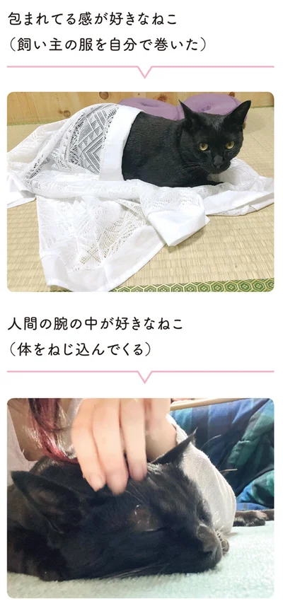 包まれてる感が好きなねこ