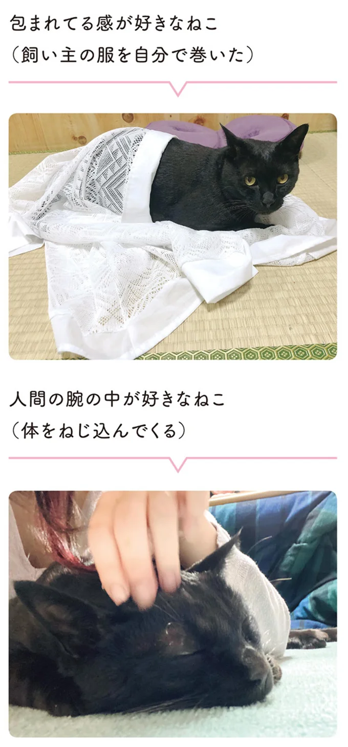 包まれてる感が好きなねこ
