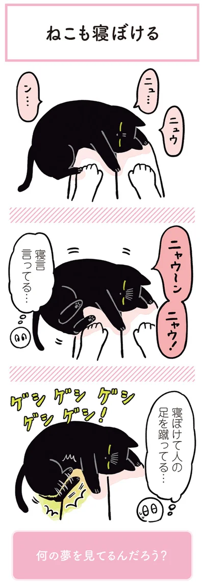寝言言ってる…