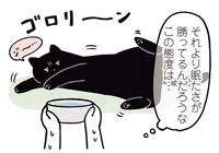 起き上がるのが面倒くさい！ソファ上の黒猫にお水をあげる方法／黒猫ろんと暮らしたら2（10）