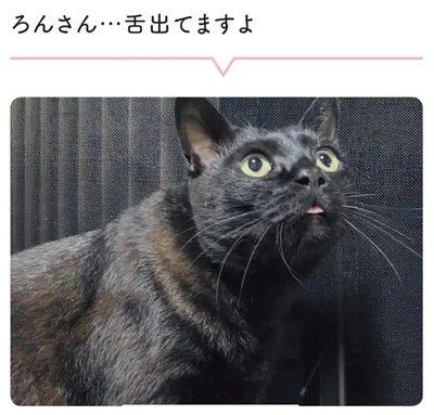 舌出てますよ