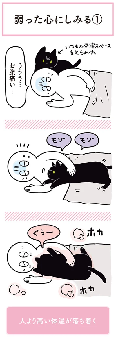 ううう…　お腹痛い…