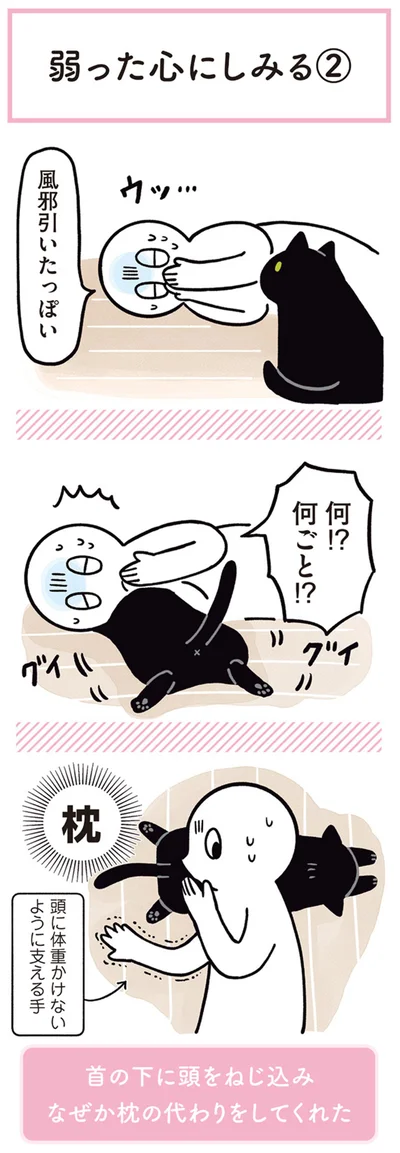 風邪引いたっぽい
