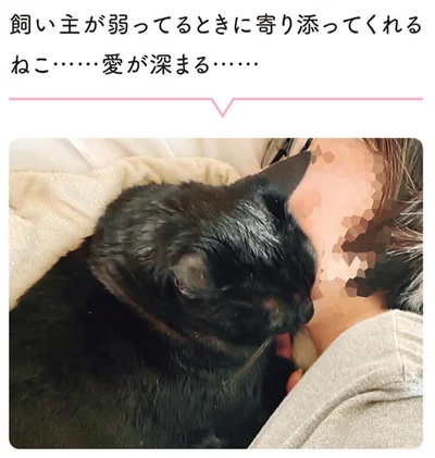 愛が深まる…