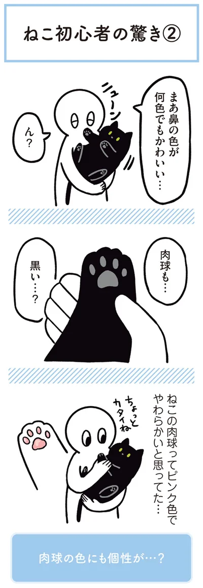 肉球も…黒い…？