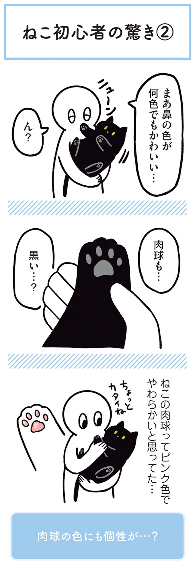肉球も…黒い…？