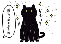 飼い主からのブラッシングの誘い。定位置について準備万端な黒猫／黒猫ろんと暮らしたら2（14）