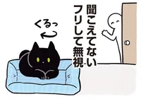 飼い主の呼びかけを無視する黒猫。それでもうれしい飼い主心理とは／黒猫ろんと暮らしたら2（15）