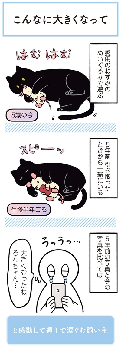 大きくなったねろんちゃん…