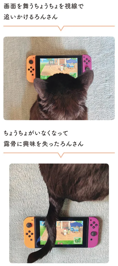 露骨に興味を失ったろんさん