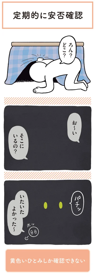 お～い　そこにいるの？