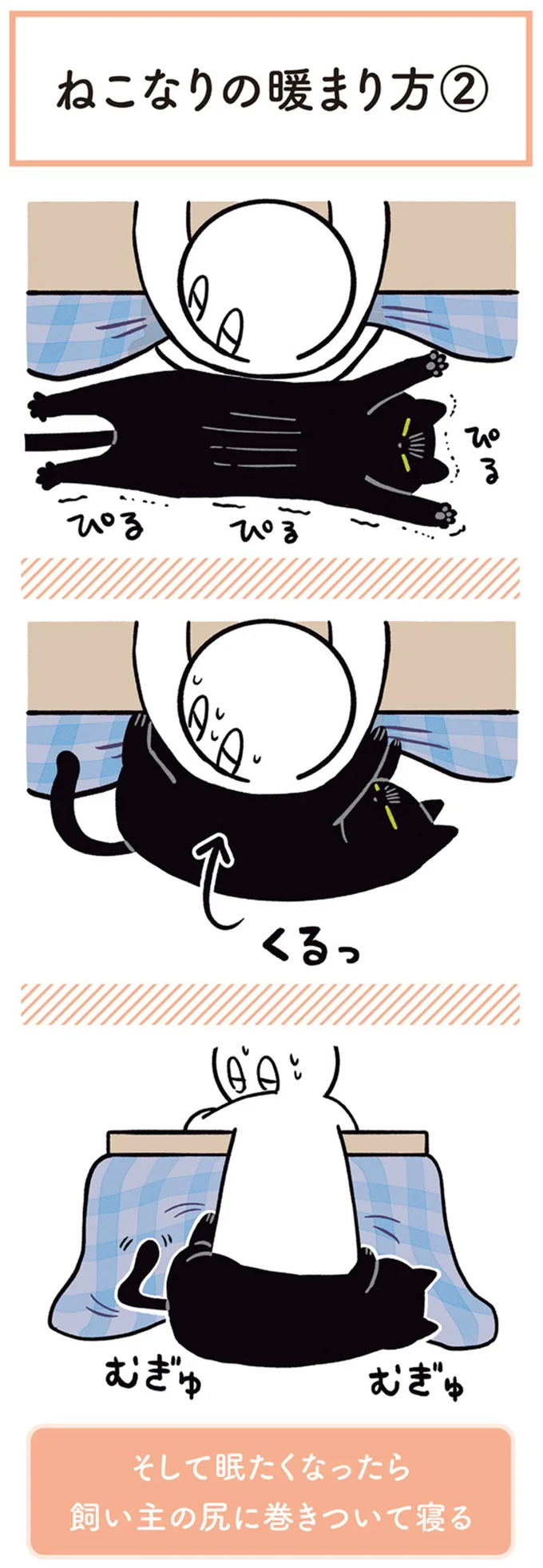 飼い主の尻に巻きついて寝る