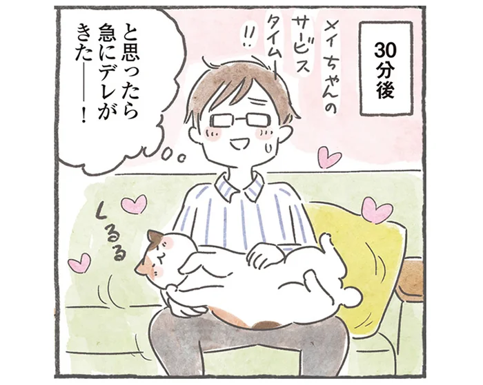 急にデレがきたー！ 気まぐれだからこそ生き残ってきた猫たち