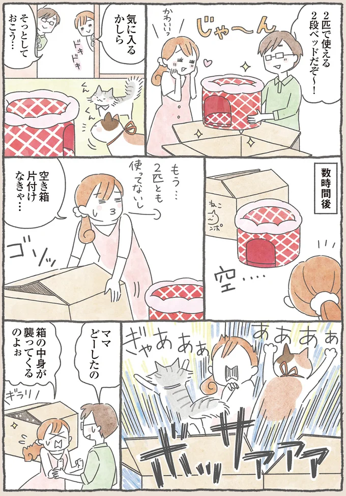空き箱片付けなきゃ…