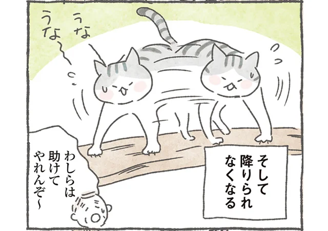 どうして登っちゃうの!? 猫が高いところから降りられなくなったときは