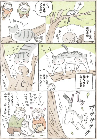 また登ってるのか
