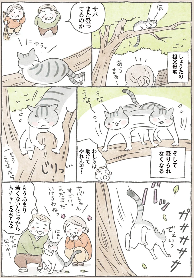 また登ってるのか