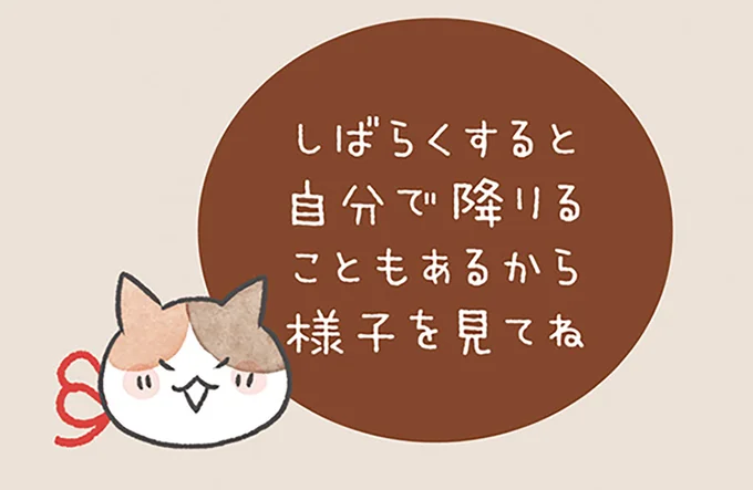 様子を見てね