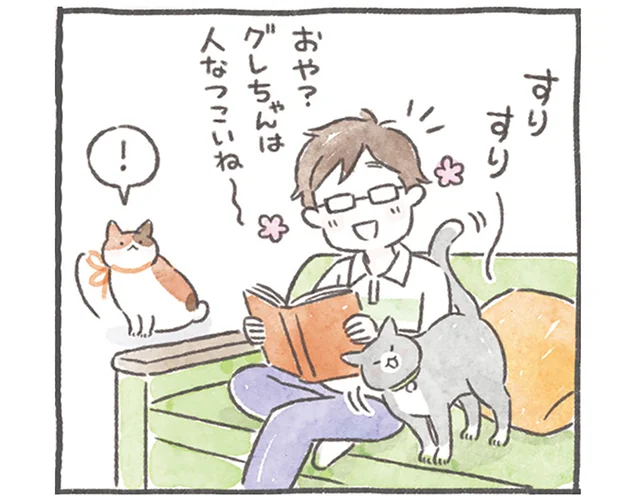 自分の所有物アピール？ 猫のスリスリは「愛着がある」という意思表示