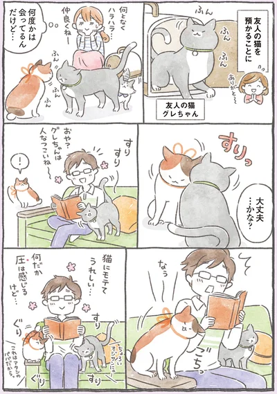 友人の猫を預かることに