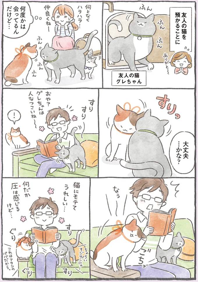 友人の猫を預かることに
