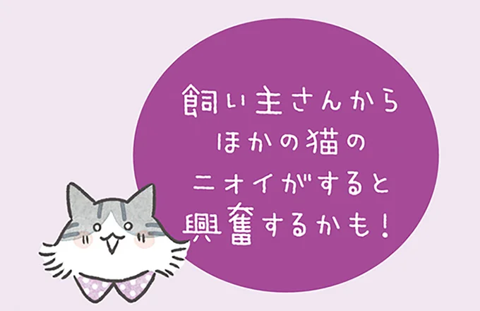 飼い主さんからほかの猫のニオイがすると…
