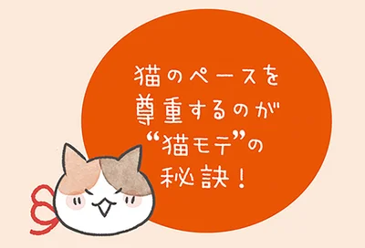 猫のペースを尊重するのが…