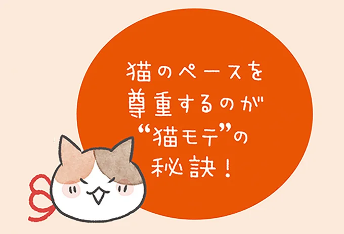 猫のペースを尊重するのが…