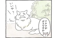 「ボス猫」なんて存在しない？ 階級制じゃない猫たちの社会