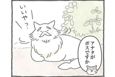 アナタがボスですか