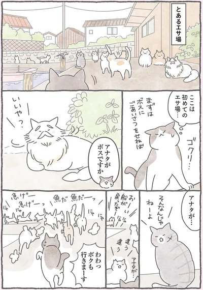 ここは初めてのエサ場…