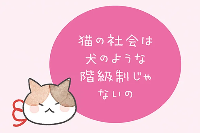 犬のような階級制じゃないの