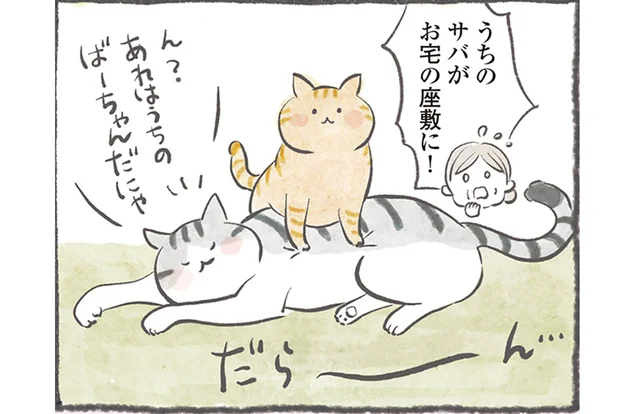 「猫の集会」って何してるの？ 未だ開催理由が分からない猫たちの謎