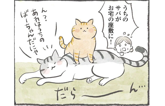 「猫の集会」って何してるの？ 未だ開催理由が分からない猫たちの謎