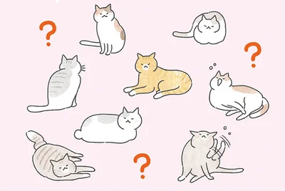 集まったはいいけれど何もしない