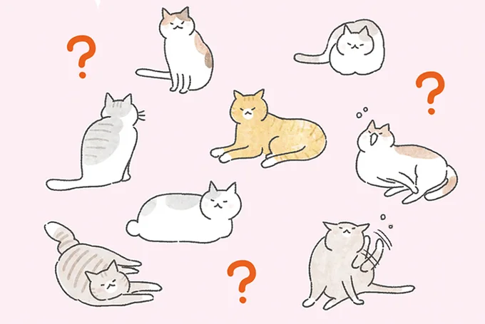 集まったはいいけれど何もしない