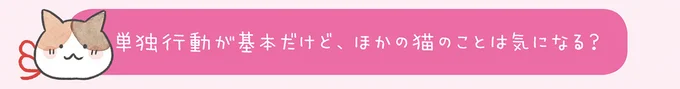単独行動が基本だけど…